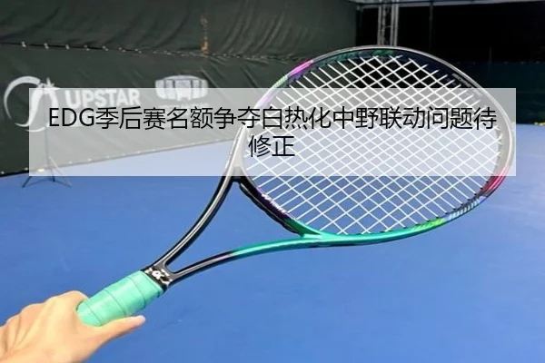 EDG季后赛名额争夺白热化中野联动问题待修正